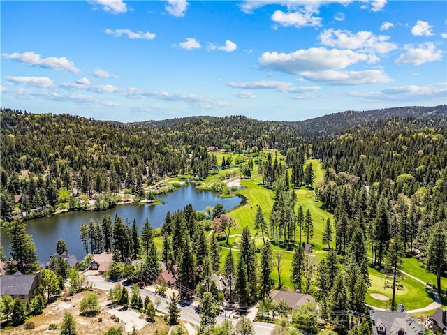 851 Madera Ln, Lake Arrowhead, CA 92352 - aerial view of a forest, a water and mountain view, and a golf club
