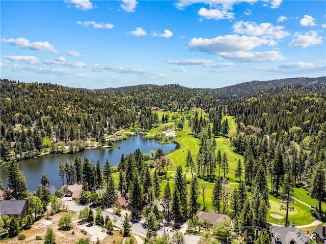 851 Madera Ln, Lake Arrowhead, CA 92352 - photo 51