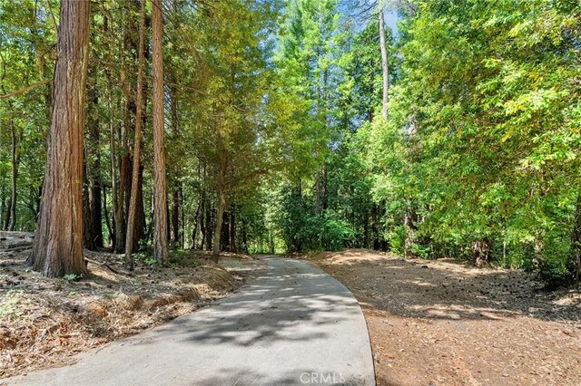 15908 Skyway, Magalia, CA 95954 - photo 38