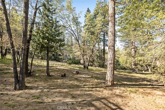 33133 Ridge Rd, Arrowbear, CA 92382 - view of local wilderness