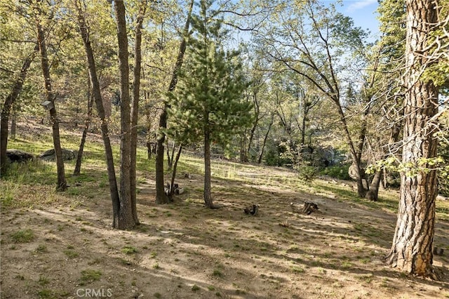 33133 Ridge Rd, Arrowbear, CA 92382 - view of local wilderness