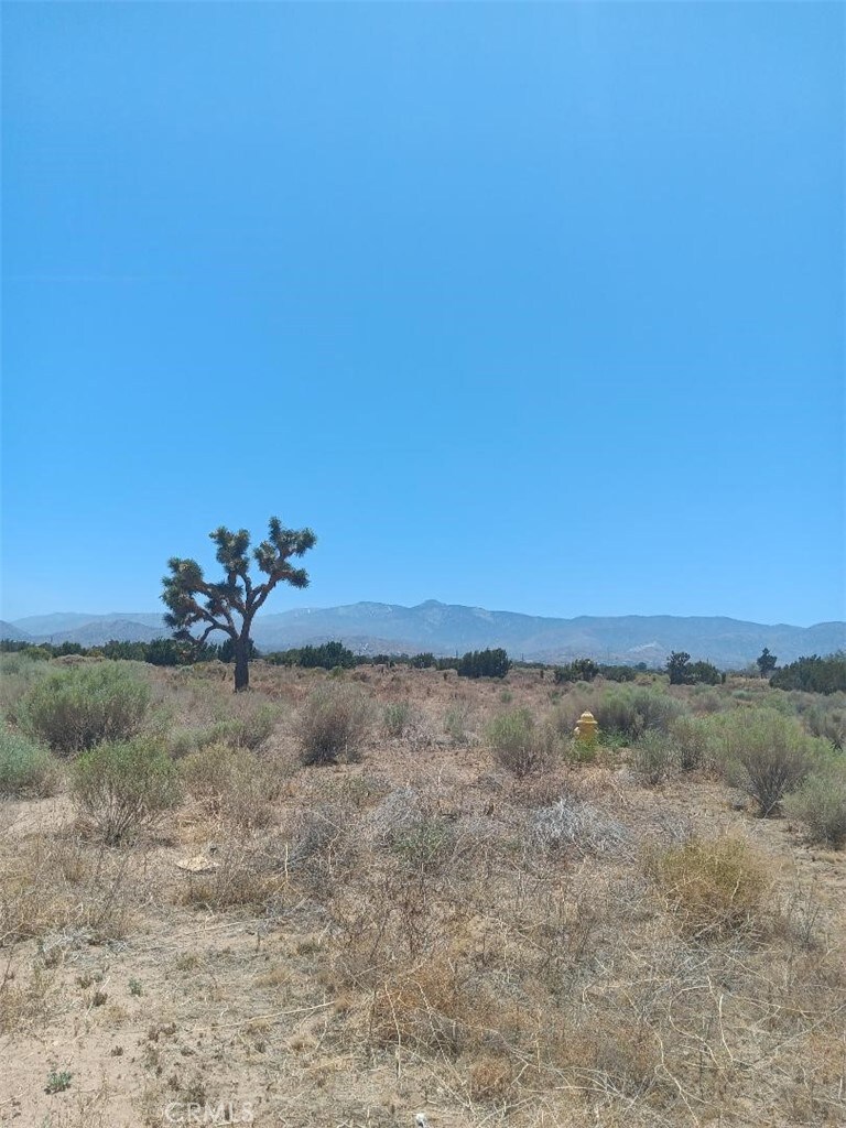 0 Yucca Terrace Rd, Phelan, CA 92371