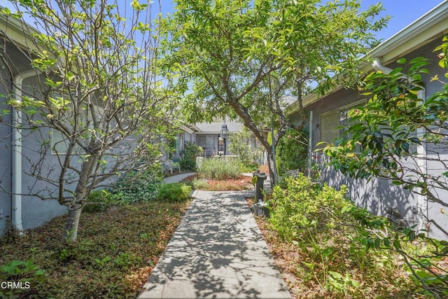 463 Mariposa Ave, Sierra Madre, CA 91024 - photo 3
