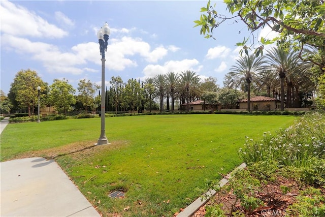 23 Crosspointe, Irvine, CA 92618 - photo 37