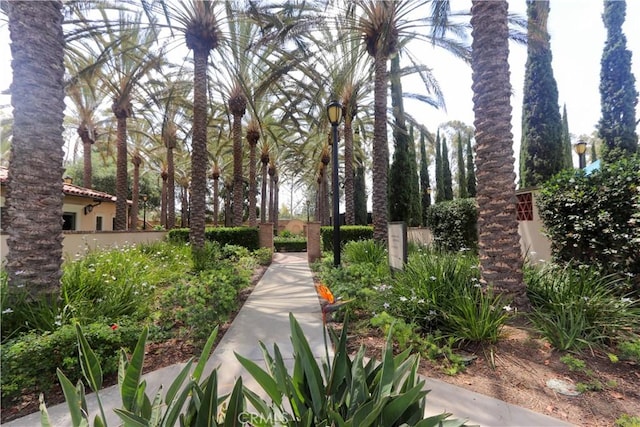 23 Crosspointe, Irvine, CA 92618 - photo 38