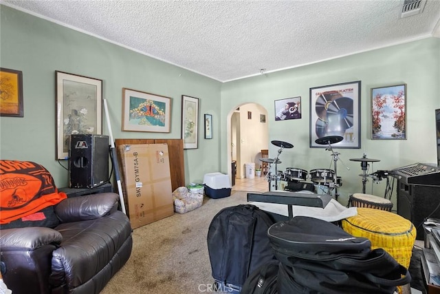 393 E 9th Ave, Chico, CA 95926 - living room with arched walkways, carpet, and a textured ceiling