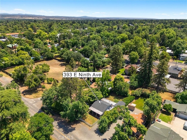 393 E 9th Ave, Chico, CA 95926 - drone / aerial view of a heavily wooded area