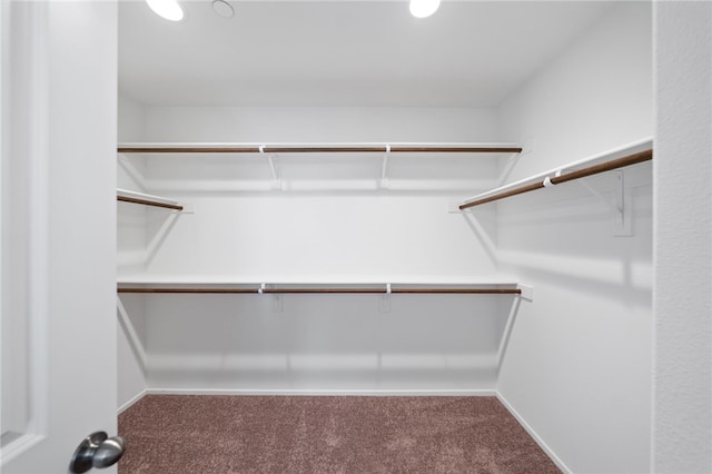 29562 Winterstorm Ct, Winchester, CA 92596 - spacious closet featuring carpet