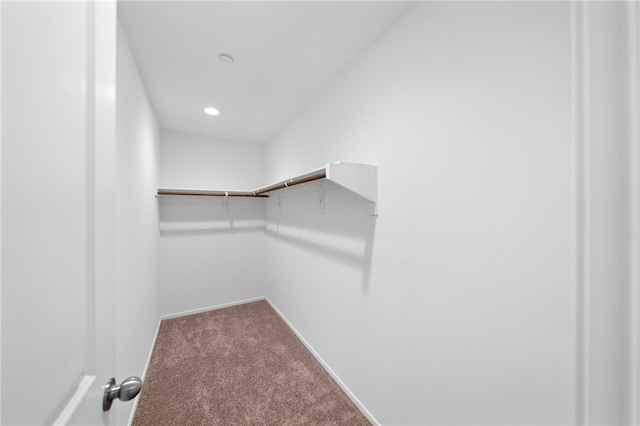 29562 Winterstorm Ct, Winchester, CA 92596 - spacious closet featuring carpet floors
