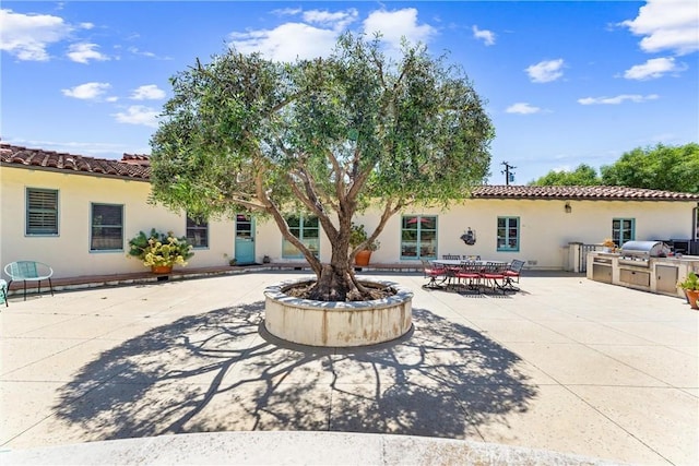 1422 Recado Rd, La Habra Heights, CA 90631 - back of property featuring exterior kitchen, stucco siding, a patio area, and a tile roof