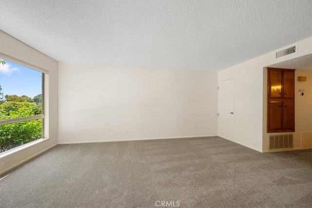 1750 Prefumo Canyon Rd Unit 17, San Luis Obispo, CA 93405 - carpeted empty room featuring healthy amount of natural light and a textured ceiling