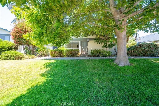 1750 Prefumo Canyon Rd Unit 17, San Luis Obispo, CA 93405 - view of green lawn