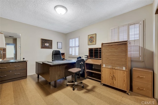 6130 Longridge Ave, Valley Glen, CA 91401 - office featuring a textured ceiling and baseboards