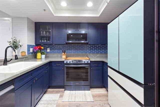 236 S Grisly Canyon Dr Unit N, Orange, CA 92869 - kitchen featuring stainless steel appliances, a sink, a tray ceiling, light wood-style flooring, and ornamental molding