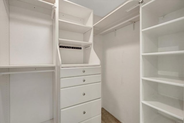 4523 Cordoba Way, Oceanside, CA 92056 - spacious closet featuring carpet flooring