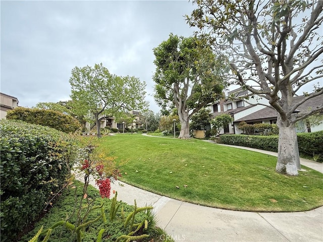 6310 Ridgemar Ct, Rancho Palos Verdes, CA 90275 - view of green lawn
