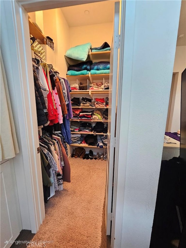 10402 Harlow Cir Unit 41, San Diego, CA 92108 - spacious closet featuring carpet