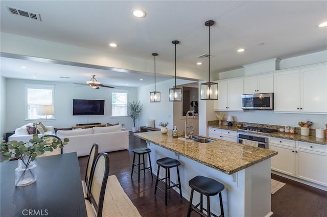 29590 Rawlings Way, Lake Elsinore, CA 92530 - kitchen with appliances with stainless steel finishes, a sink, dark wood-style floors, plenty of natural light, and recessed lighting