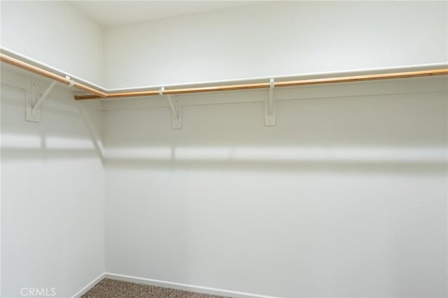 13119 Lancaster St, Hesperia, CA 92344 - walk in closet with carpet