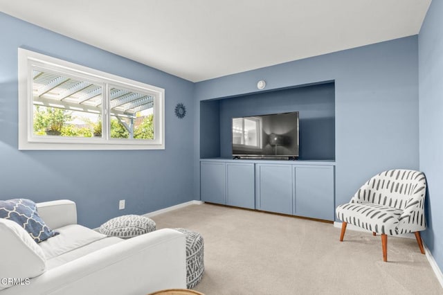 915 Calgary Ave, Ventura, CA 93004 - photo 30