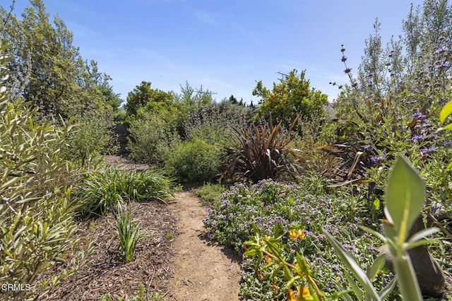 915 Calgary Ave, Ventura, CA 93004 - photo 54
