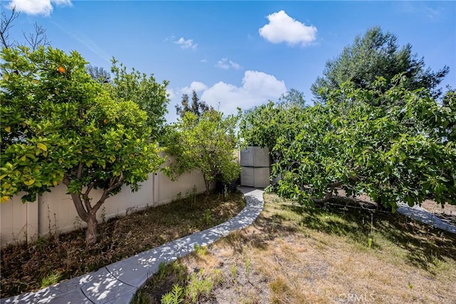 24177 Morning Dove Ln, Murrieta, CA 92562 - view of yard