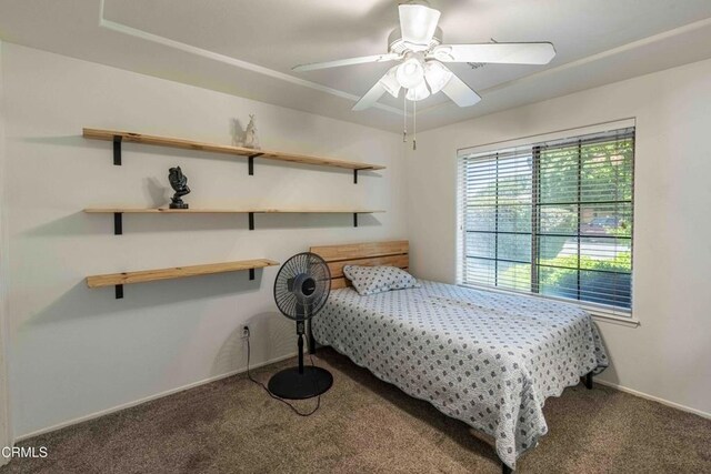 14000 Castlemaine Ave, Bakersfield, CA 93314 - bedroom featuring carpet and ceiling fan