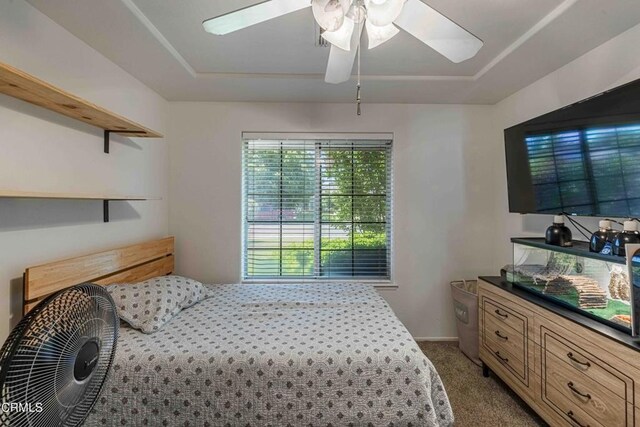 14000 Castlemaine Ave, Bakersfield, CA 93314 - bedroom with carpet, ceiling fan, and a raised ceiling