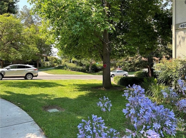 893 Ronda Sevilla Unit B, Laguna Woods, CA 92637 - view of green lawn