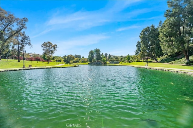 2473 Hawkwood Dr, Chino Hills, CA 91709 - photo 44