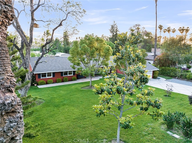 2886 Mcallister St, Riverside, CA 92503 - view of front of house featuring a front yard and roof with shingles