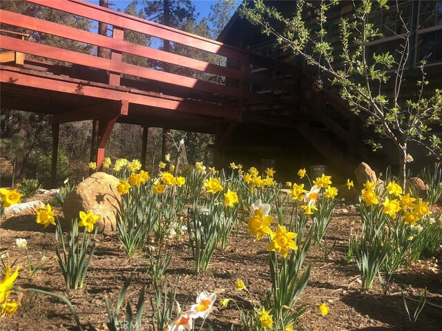 54050 Pine Crest Ave, Idyllwild, CA 92549 - photo 19
