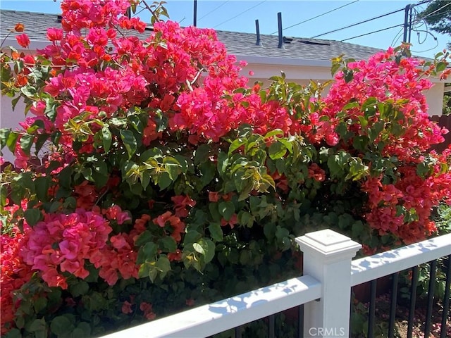 619 Center St, El Segundo, CA 90245 - view of yard