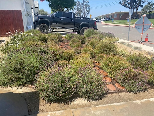 619 Center St, El Segundo, CA 90245 - view of yard