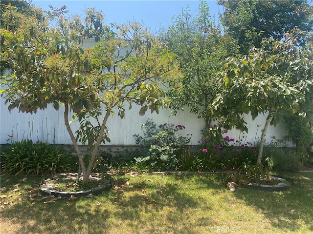 619 Center St, El Segundo, CA 90245 - view of grassy yard
