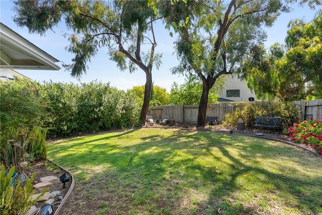 1337 Lloyd Pl, Lompoc, CA 93436 - view of yard