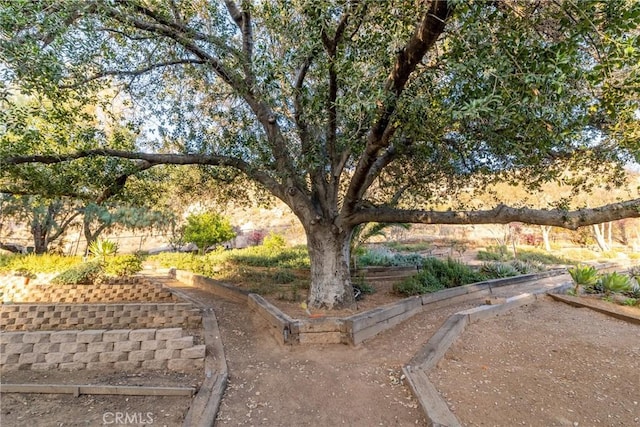 4899 Glenwood Dr, Riverside, CA 92501 - view of yard