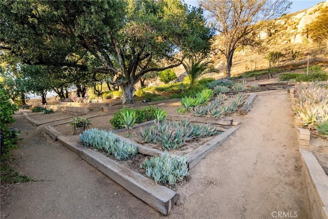 4899 Glenwood Dr, Riverside, CA 92501 - view of yard