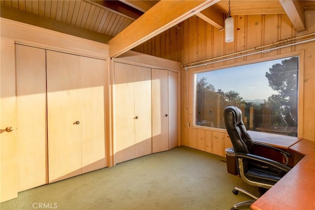 4899 Glenwood Dr, Riverside, CA 92501 - unfurnished office with wood walls, carpet flooring, and wooden ceiling