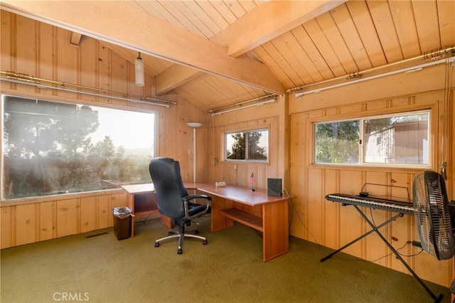 4899 Glenwood Dr, Riverside, CA 92501 - carpeted home office featuring wooden ceiling and wooden walls