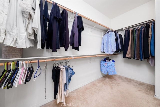 8675 Bay Laurel St, Chino, CA 91708 - walk in closet with carpet floors