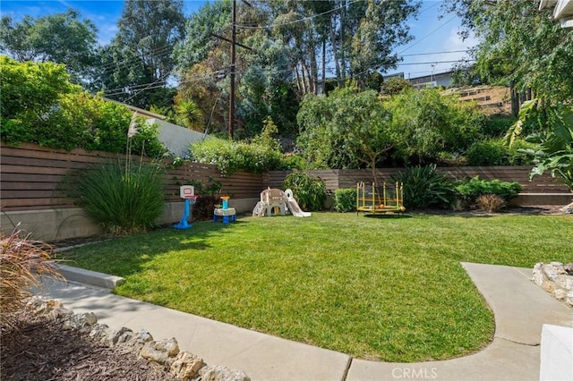 4501 Don Miguel Dr, Los Angeles, CA 90008 - view of yard