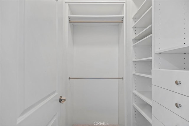 166 Borrego, Irvine, CA 92618 - view of spacious closet