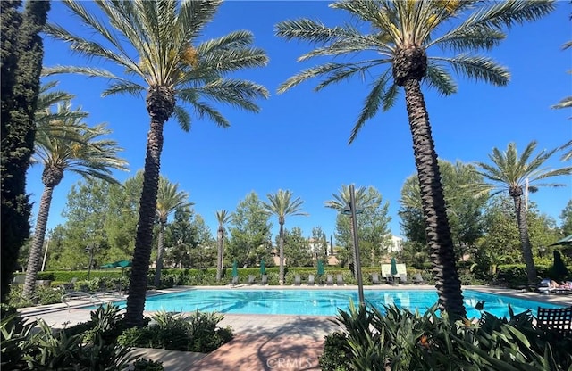 166 Borrego, Irvine, CA 92618 - view of community pool