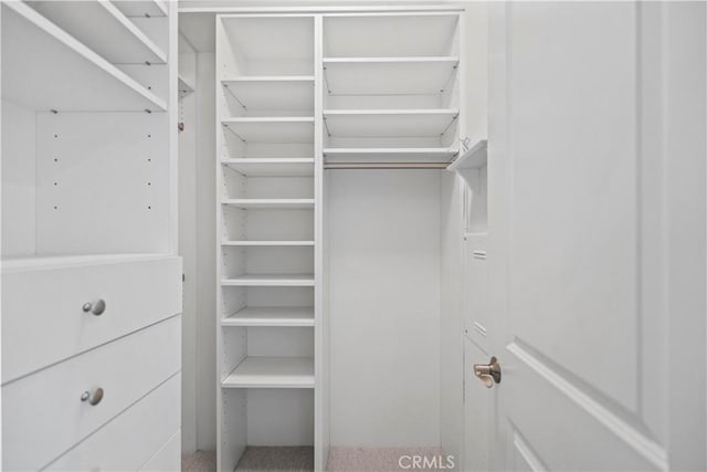 166 Borrego, Irvine, CA 92618 - view of spacious closet