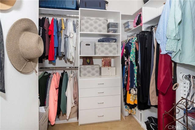 15530 New Park Ter, San Diego, CA 92127 - spacious closet with carpet flooring