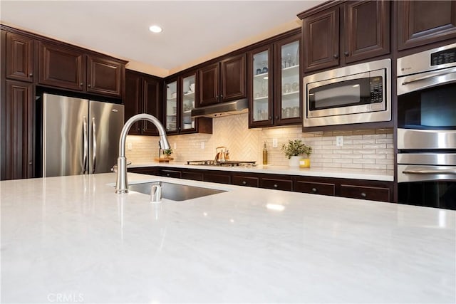 15530 New Park Ter, San Diego, CA 92127 - kitchen with appliances with stainless steel finishes, under cabinet range hood, a sink, tasteful backsplash, and glass insert cabinets