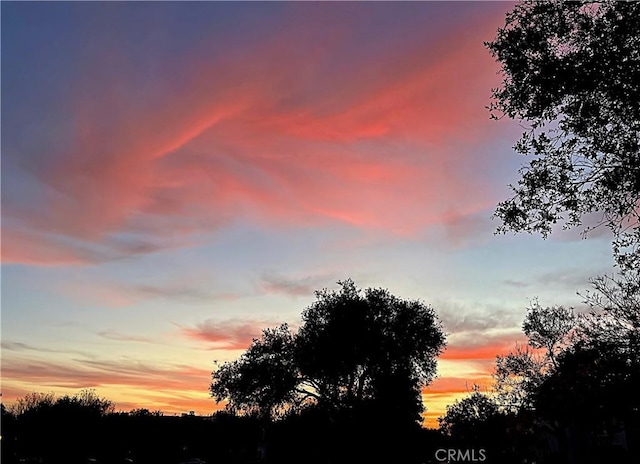 15530 New Park Ter, San Diego, CA 92127 - photo 45