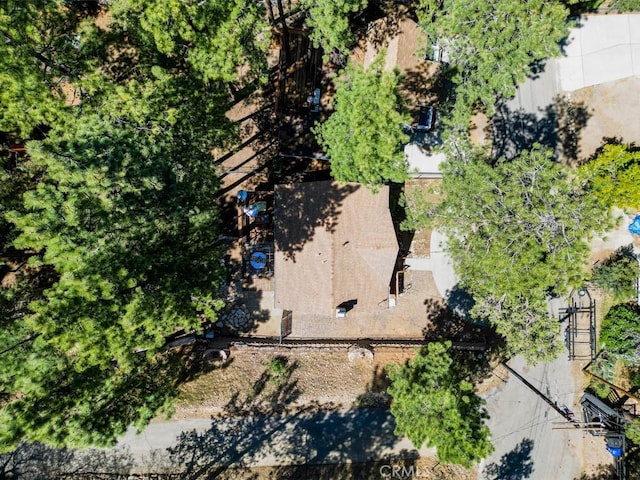 509 Beaumont Ln, Big Bear City, CA 92314 - photo 42