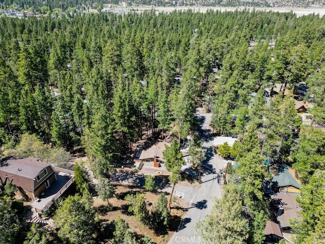 509 Beaumont Ln, Big Bear City, CA 92314 - photo 44